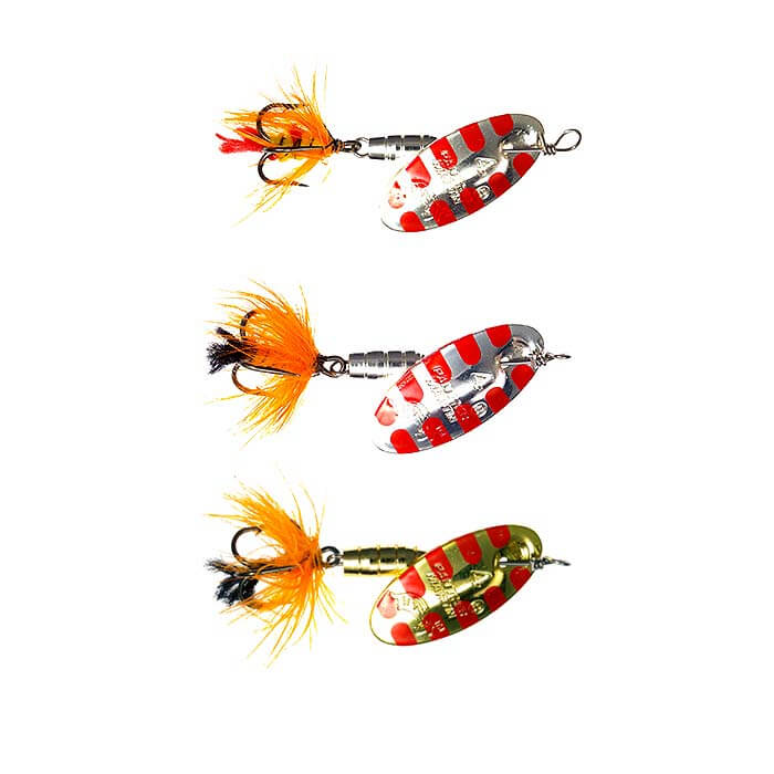 Salamander Fly