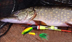 Pike and Musky Fishing Lures