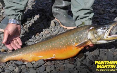 Catch Arctic Char with Panther Martin Spinners