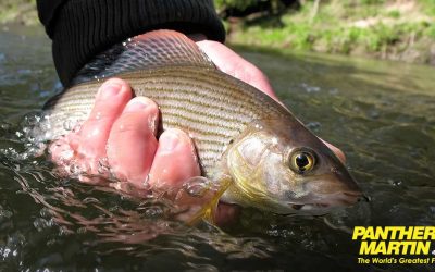 Catch Grayling with Panther Martin