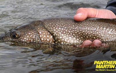 Catching Lake Trout with Panther Martin Spinners