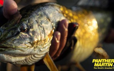 Catching Pike with Panther Martin Spinners