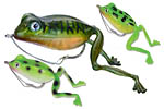 Superior Frogs